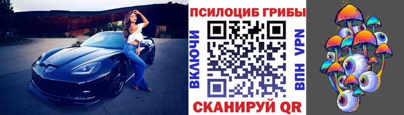 закладки  Балашов  Псилоцибиновые грибы Psilocybe 