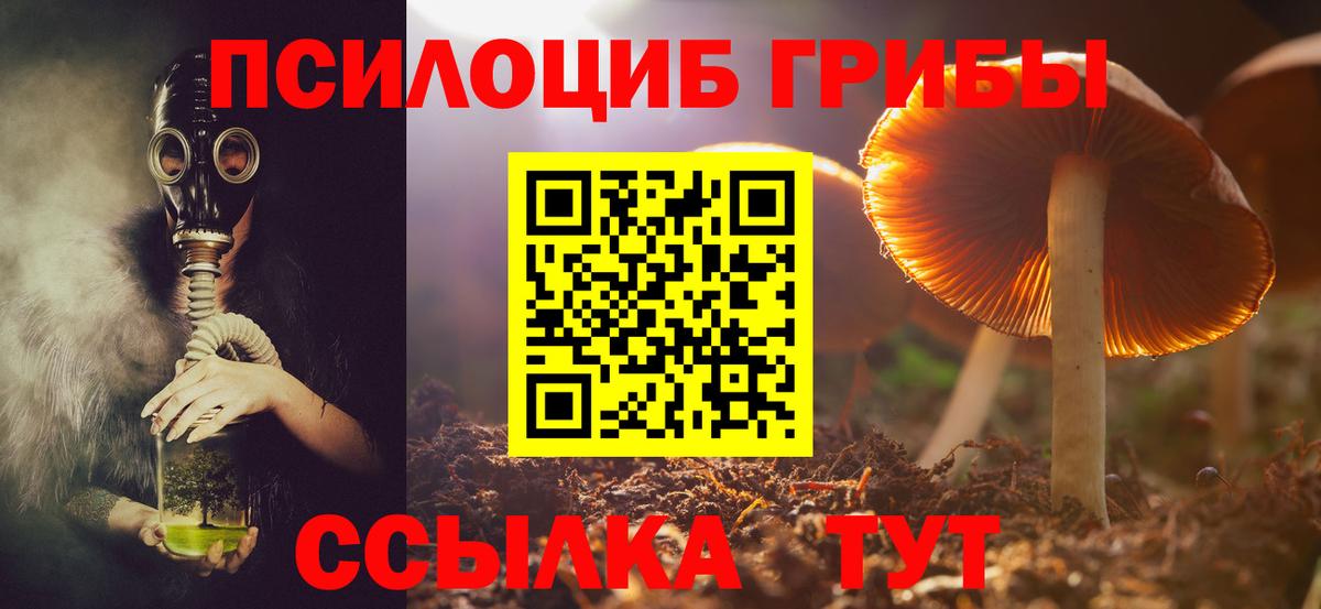 Балашов  Галлюциногенные грибы мицелий  Вход с VPN 